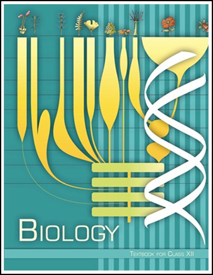 Ncert Science Class XII Biology English Medium (Original Book)