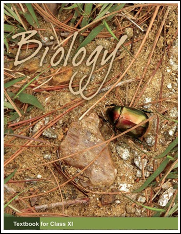 Ncert Science Class XI Biology English Medium (Original Book)