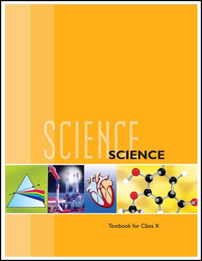 Ncert Science Class X English Medium (Original Book)